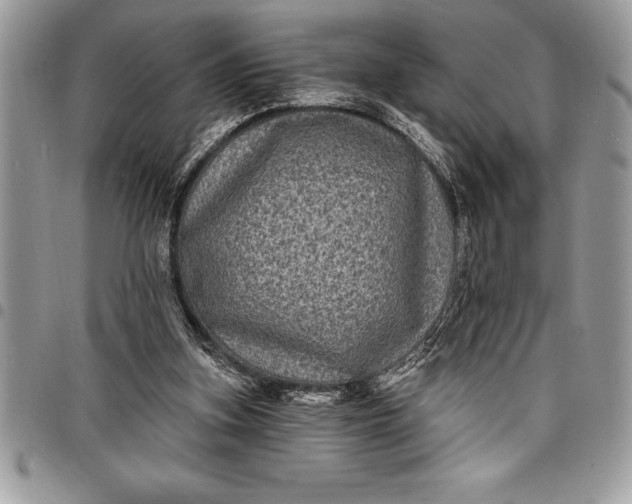 X0000097890155200803281253