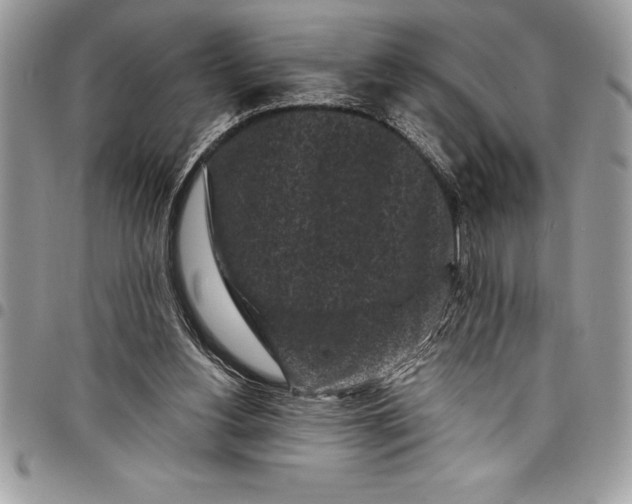 X0000097890156200803281253