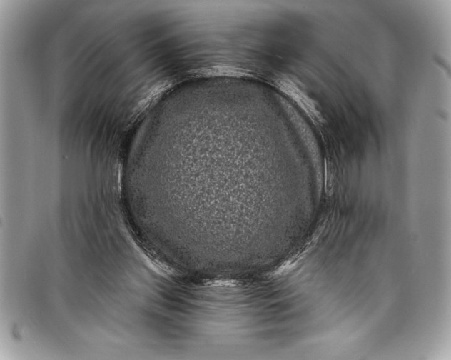 X0000097890157200803281253