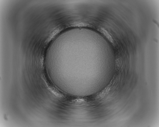 X0000097890159200803281253