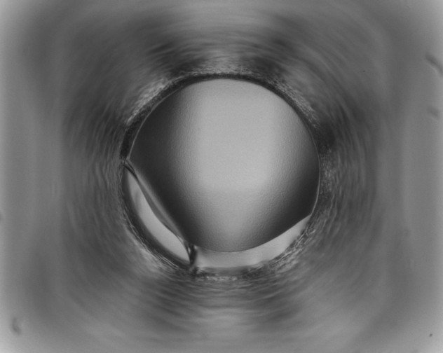 X0000097890160200803281253