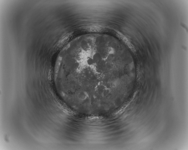 X0000097890161200803281253