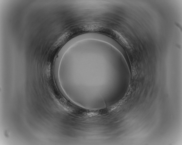 X0000097890163200803281253