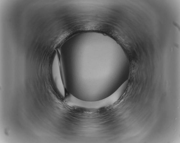 X0000097890164200803281253