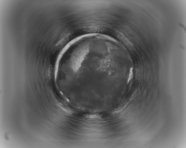 X0000097890165200803281253