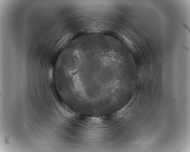 X0000097890166200803281254