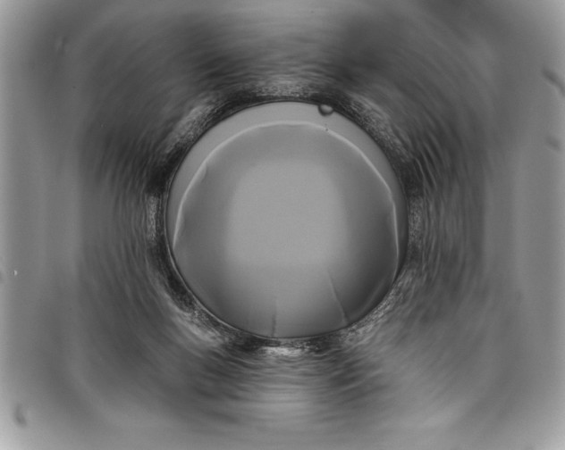 X0000097890167200803281254