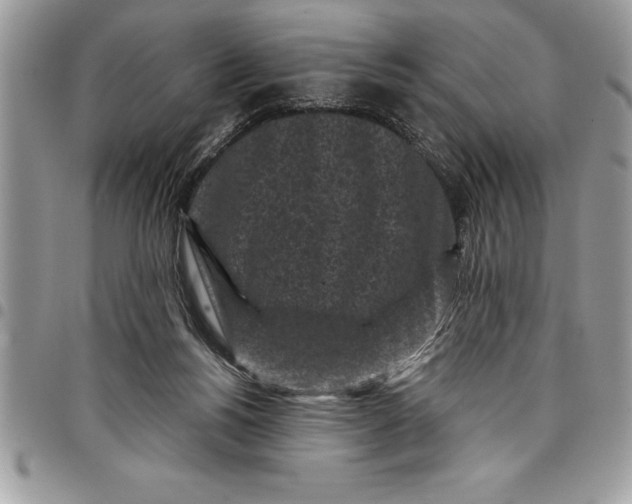 X0000097890168200803281254