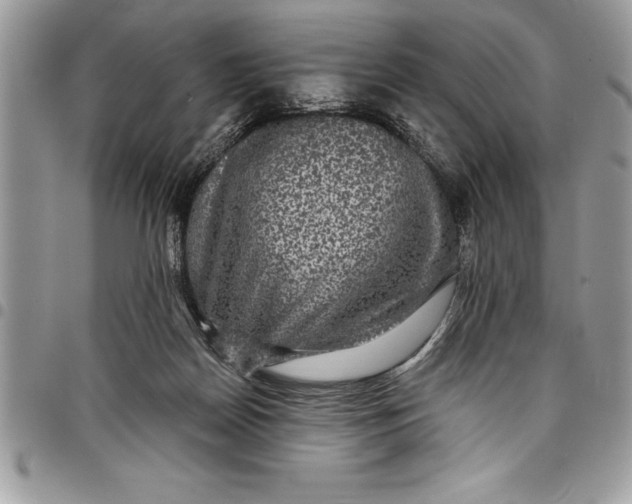 X0000097890170200803281254