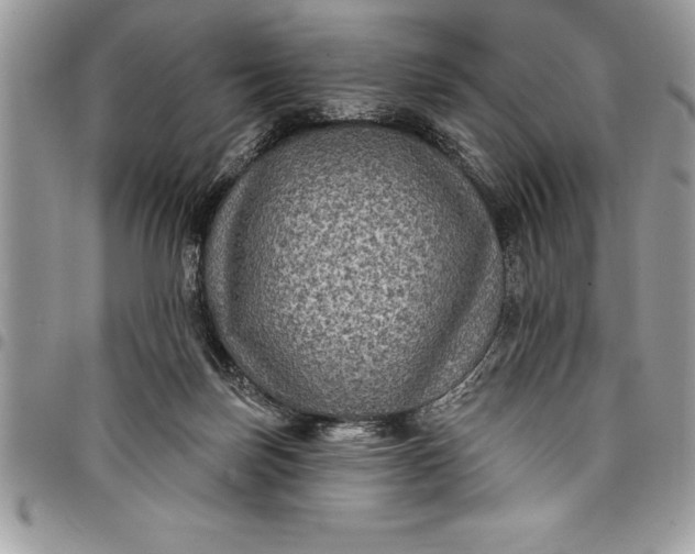 X0000097890171200803281254