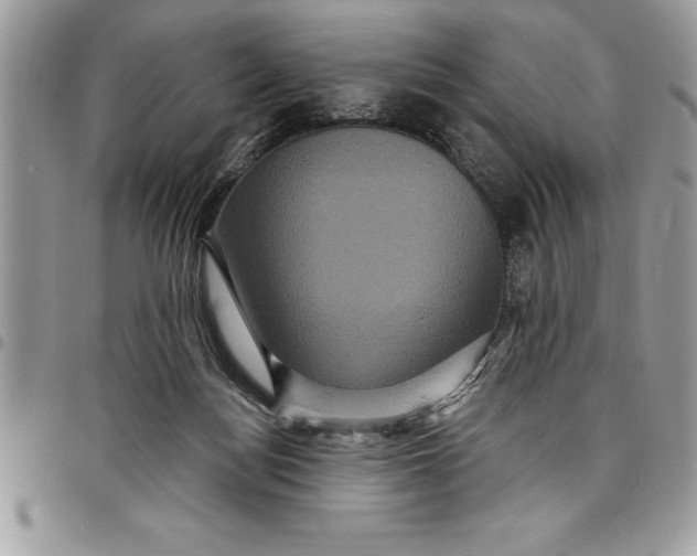 X0000097890172200803281254