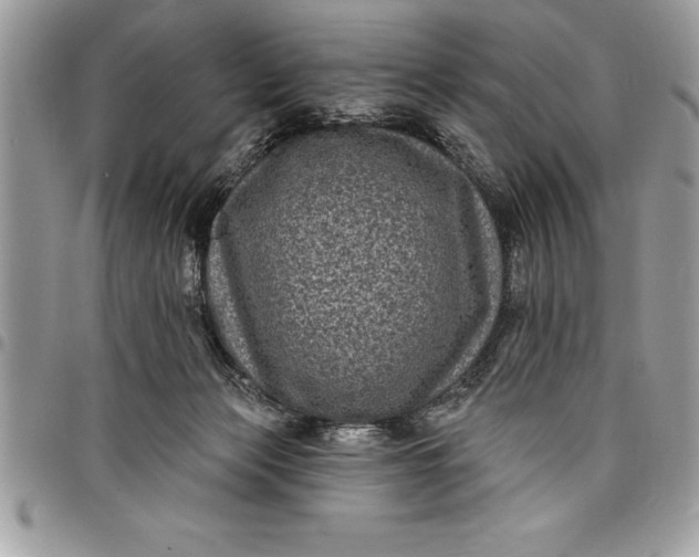 X0000097890173200803281254