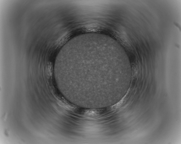 X0000097890174200803281254