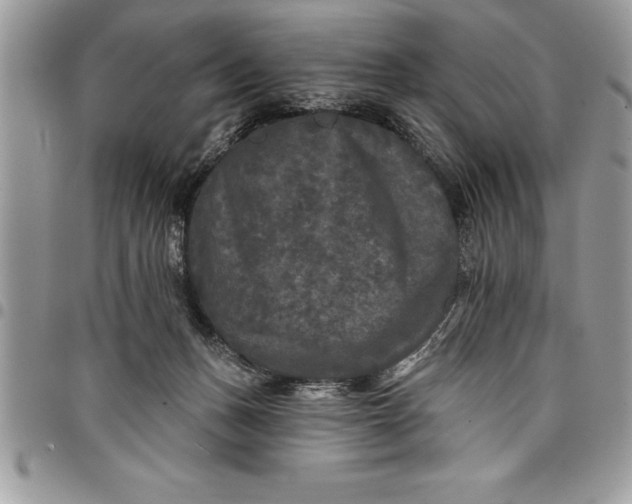 X0000097890175200803281254