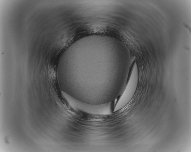 X0000097890176200803281254