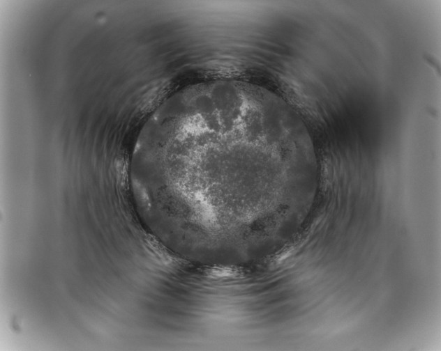 X0000097890177200803281254