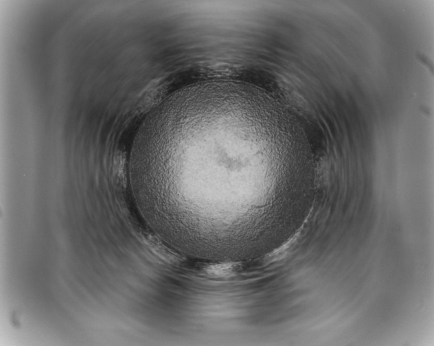 X0000097890178200803281254