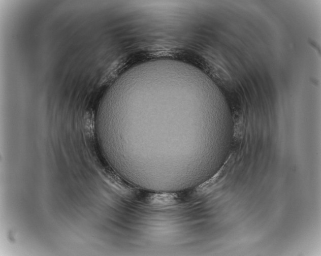 X0000097890179200803281254