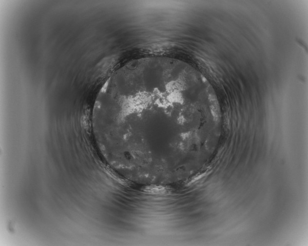 X0000097890181200803281254