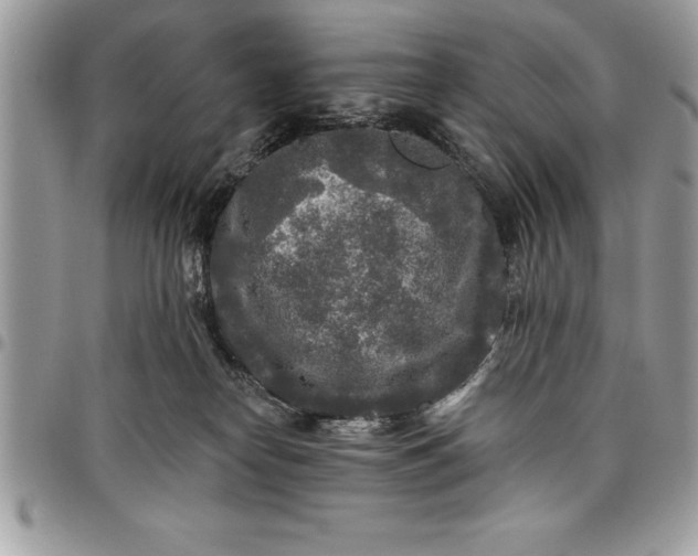 X0000097890182200803281254