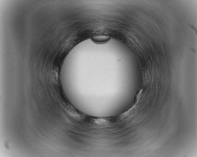 X0000097890183200803281254