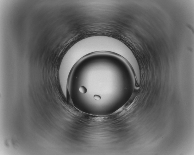 X0000097890184200803281254