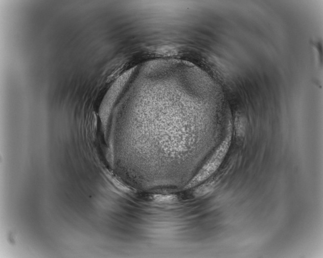 X0000097890185200803281254