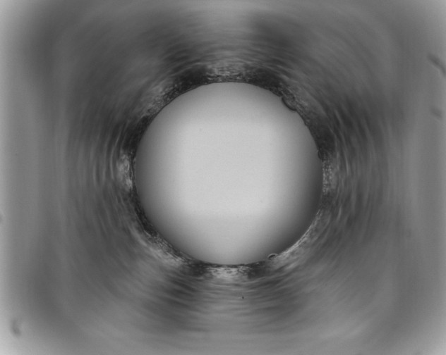 X0000097890187200803281254