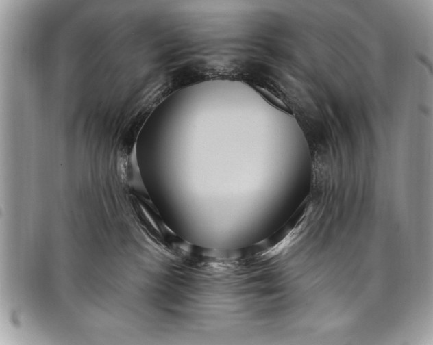 X0000097890188200803281254