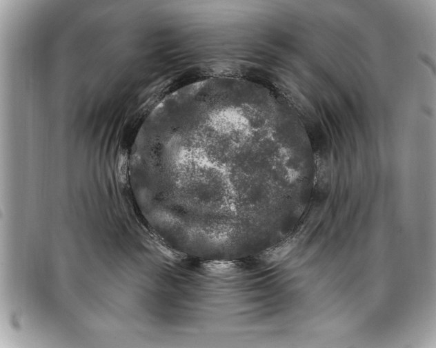 X0000097890189200803281254