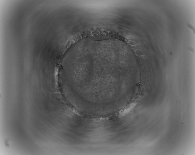 X0000097890192200803281254