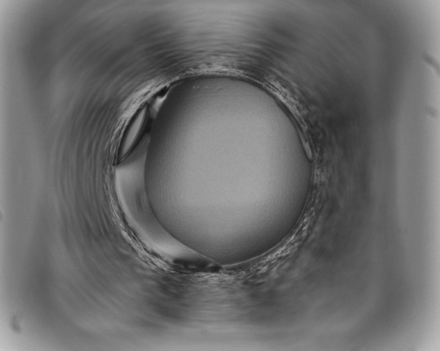 X0000097890193200803281253