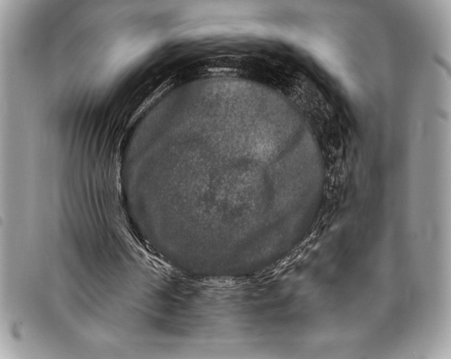 X0000097890194200803281253