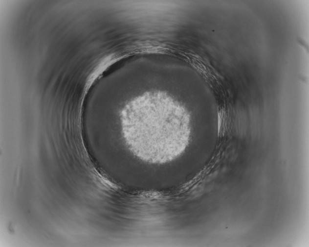 X0000097890195200803281253