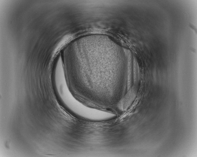 X0000097890197200803281253