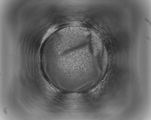 X0000097890198200803281253