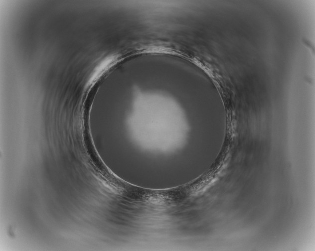 X0000097890199200803281253