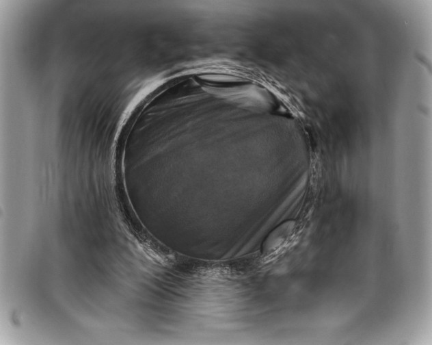 X0000097890200200803281253