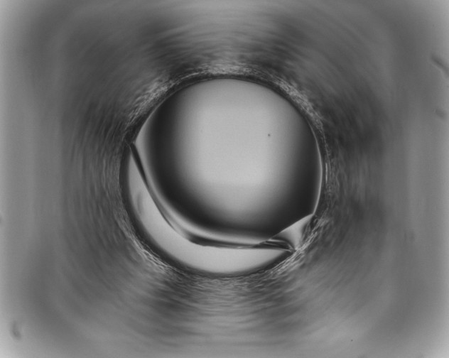 X0000097890201200803281253