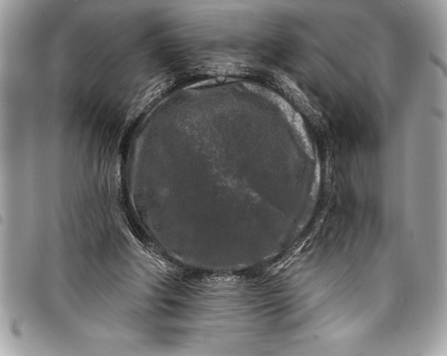 X0000097890202200803281253