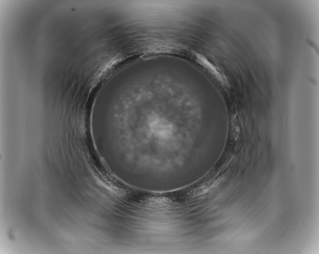 X0000097890203200803281253