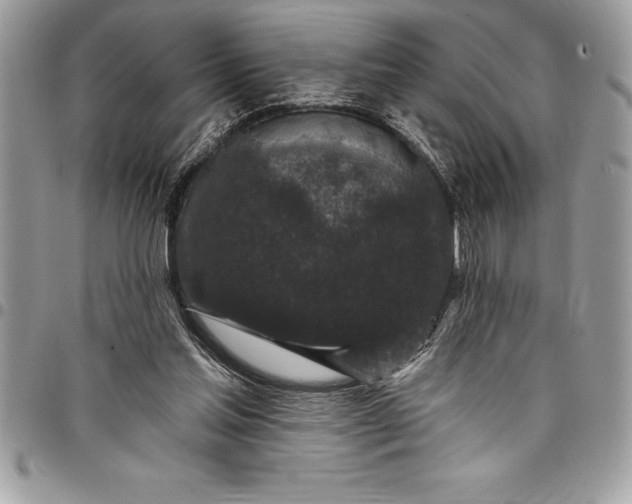 X0000097890205200803281253