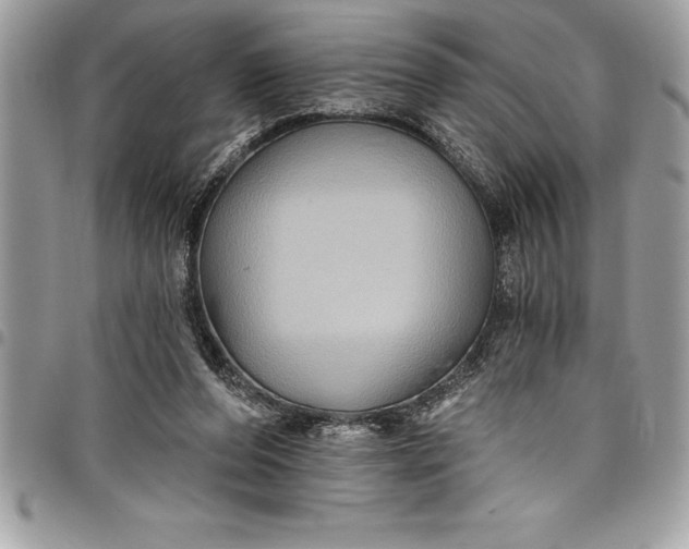 X0000097890208200803281253