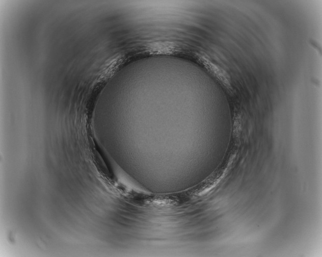 X0000097890209200803281253