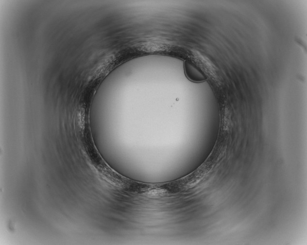 X0000097890210200803281253