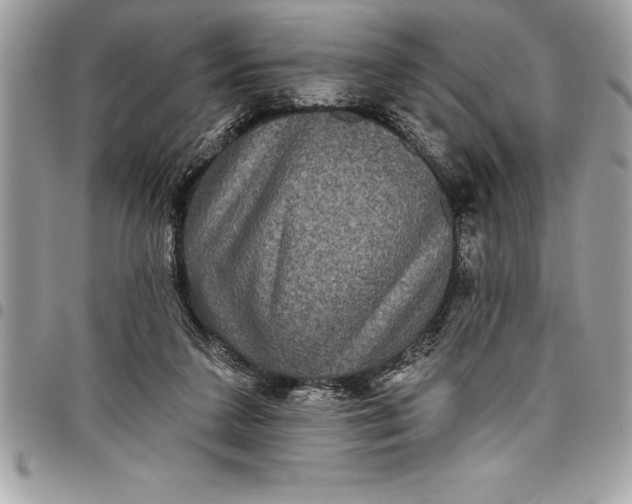 X0000097890211200803281253