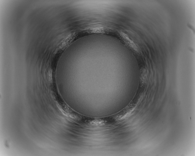 X0000097890213200803281253