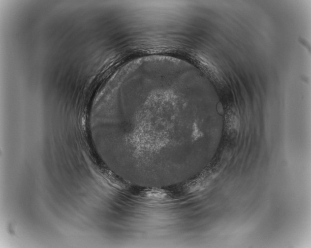 X0000097890214200803281253