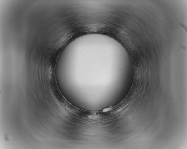 X0000097890216200803281253