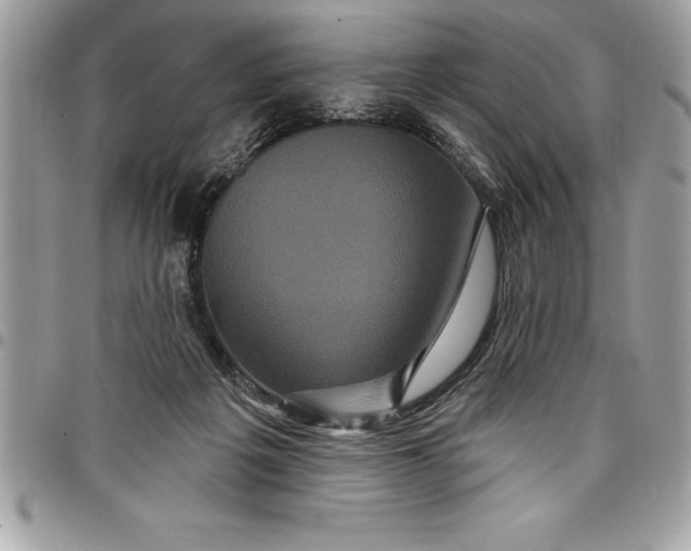 X0000097890217200803281253